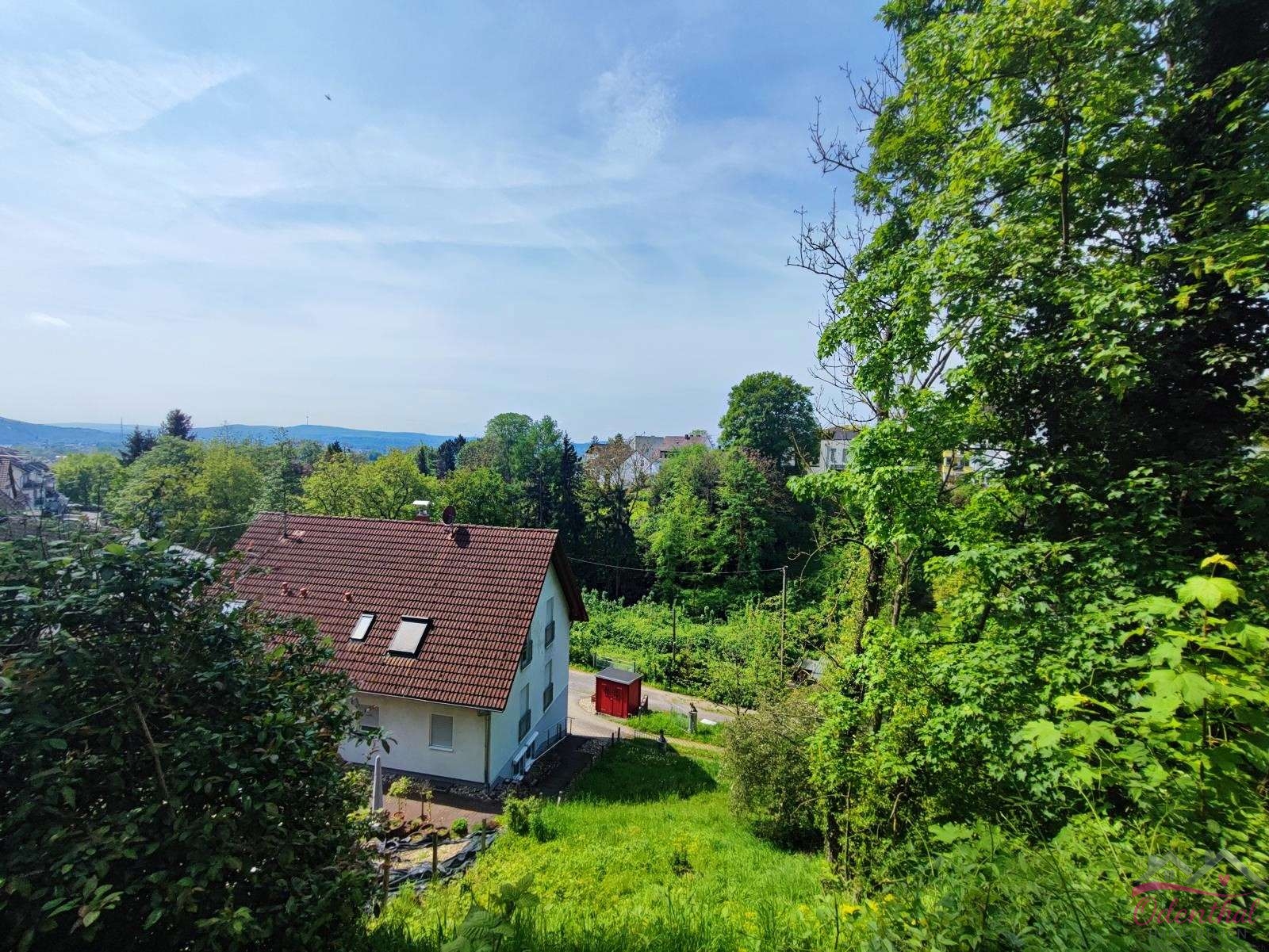 Wer weckt mich aus dem Dornröschenschlaf? Seltenes Grundstück wie im Märchen